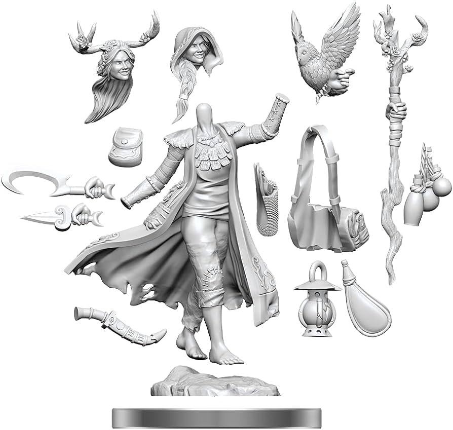 D&D Miniatures - D&D Frameworks Wave 1 Human Druid Female