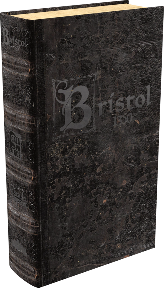 Bristol - 1350