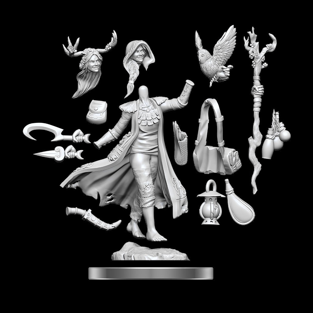 D&D Miniatures - D&D Frameworks Wave 1 Human Druid Female