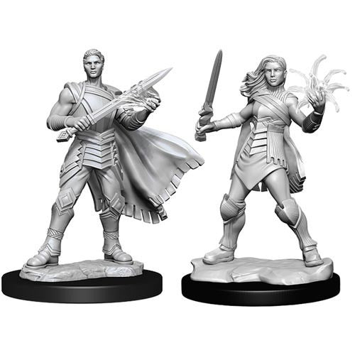 D&D Miniatures - Rowan and Will Kenrith (90342)