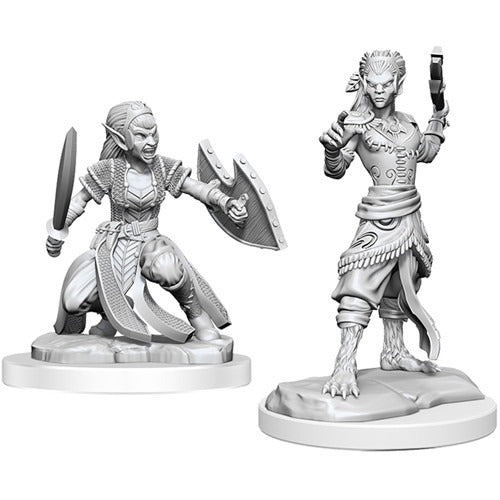 D&D Miniatures - Shifter Fighter (90407)