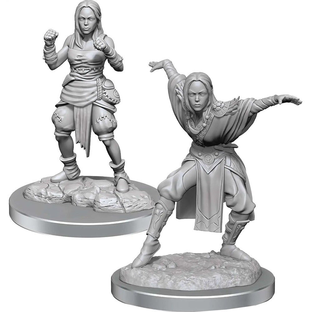 Pathfinder Miniatures - Female Half Elf Monk (90652)0