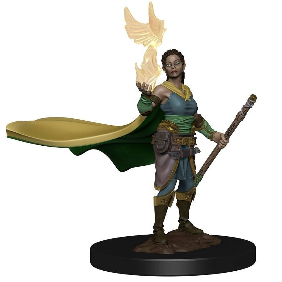 D&D : Premium Minature - Elf Druid (93003)